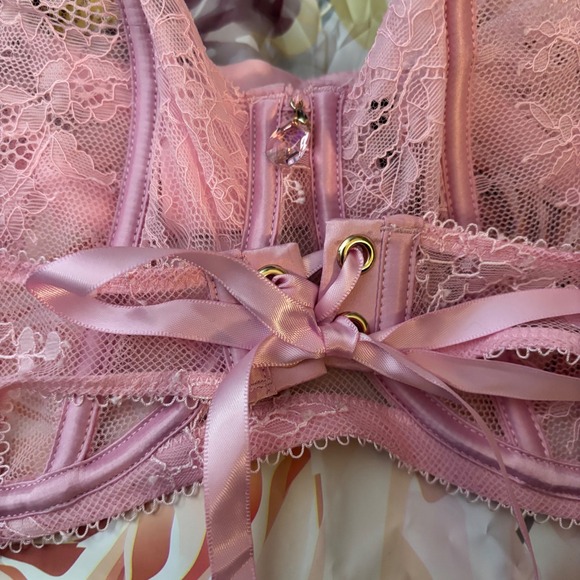 Honey Birdette Bra Sexy Pink Lace Corset Luxury Babydoll Lingerie Detail 40DD - Picture 3 of 11